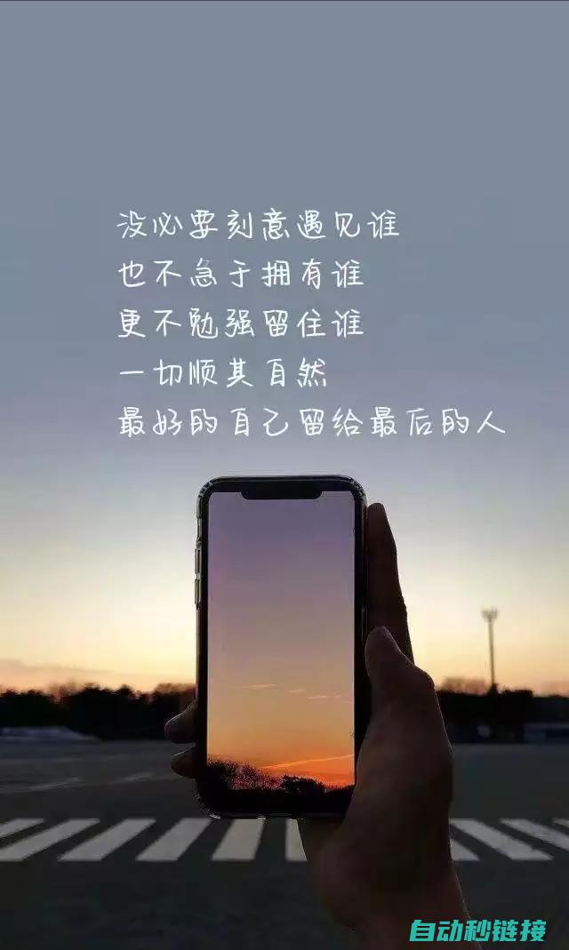 兼顾稳定与安全的多功能应用 (兼顾稳定与安全的区别)