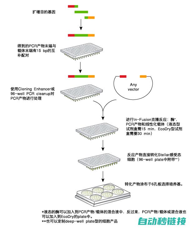 进行克隆操作的具体步骤 (进行克隆操作的过程)