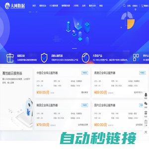 大网数据 - 企业级云计算供应商